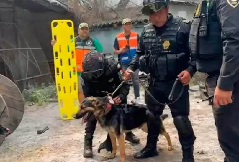 As&iacute; rescataron a trabajador tras derrumbe en San Antonio Abad