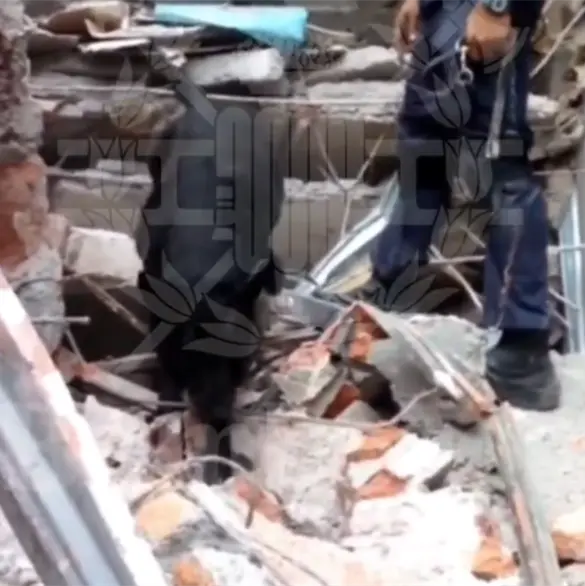 Colapsa edificio en San Antonio Abad: últimas noticias hoy lunes 9 de marzo