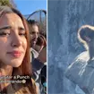 Sal&iacute; llorando: Tammy Parra capta el momento en que un mono tira a Punch de la monta&ntilde;a