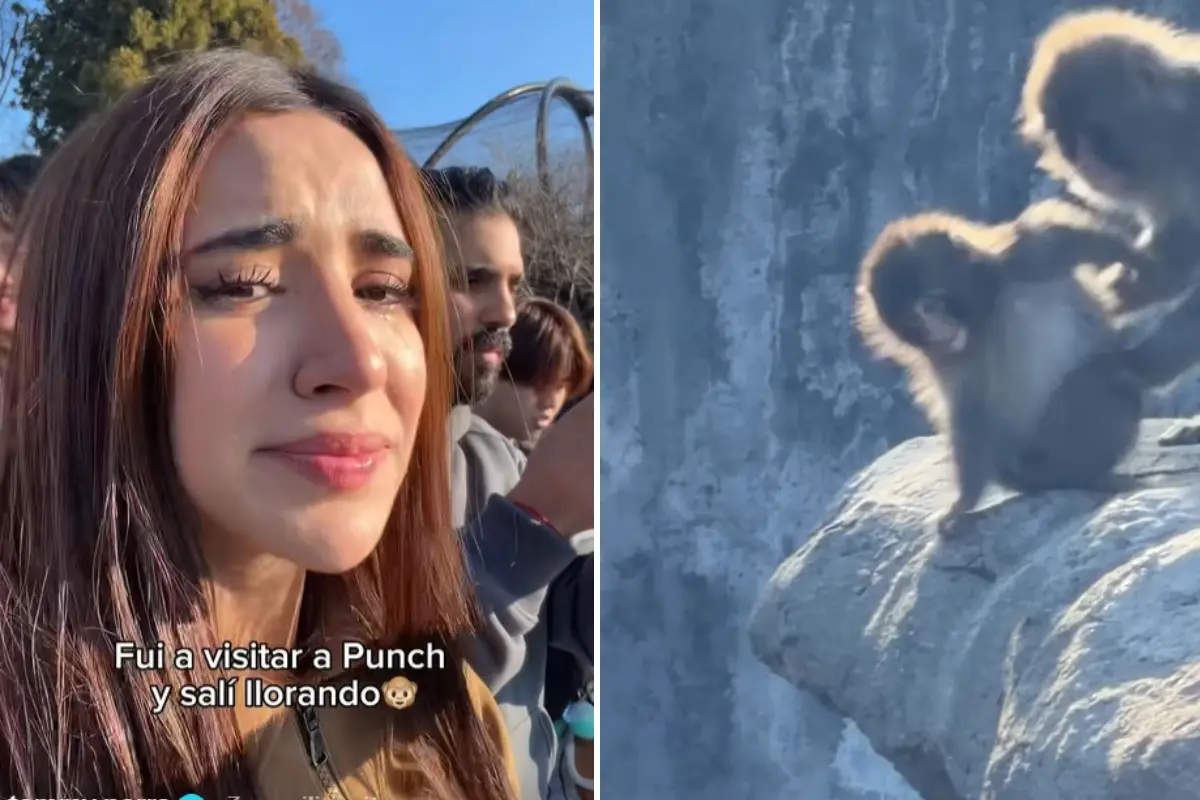  Tammy Parra visita a Punch 