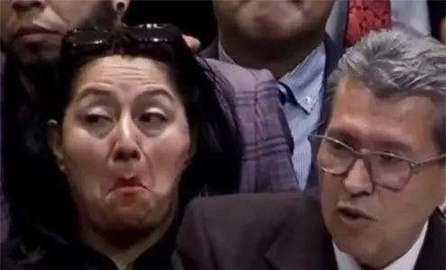 &iquest;Qui&eacute;n es Mar&iacute;a Damaris Silva, la diputada que hizo muecas durante el discurso de Monreal?