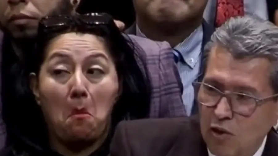 &iquest;Qui&eacute;n es Mar&iacute;a Damaris Silva, la diputada que hizo muecas durante el discurso de Monreal?