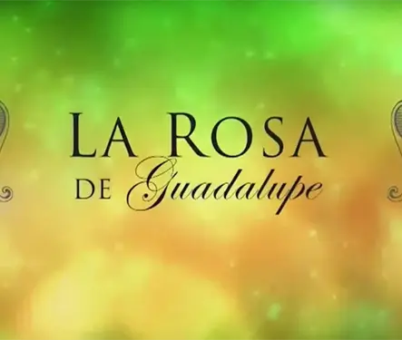 Actor de La Rosa de Guadalupe pide ayuda para pagar tratamiento contra el c&aacute;ncer