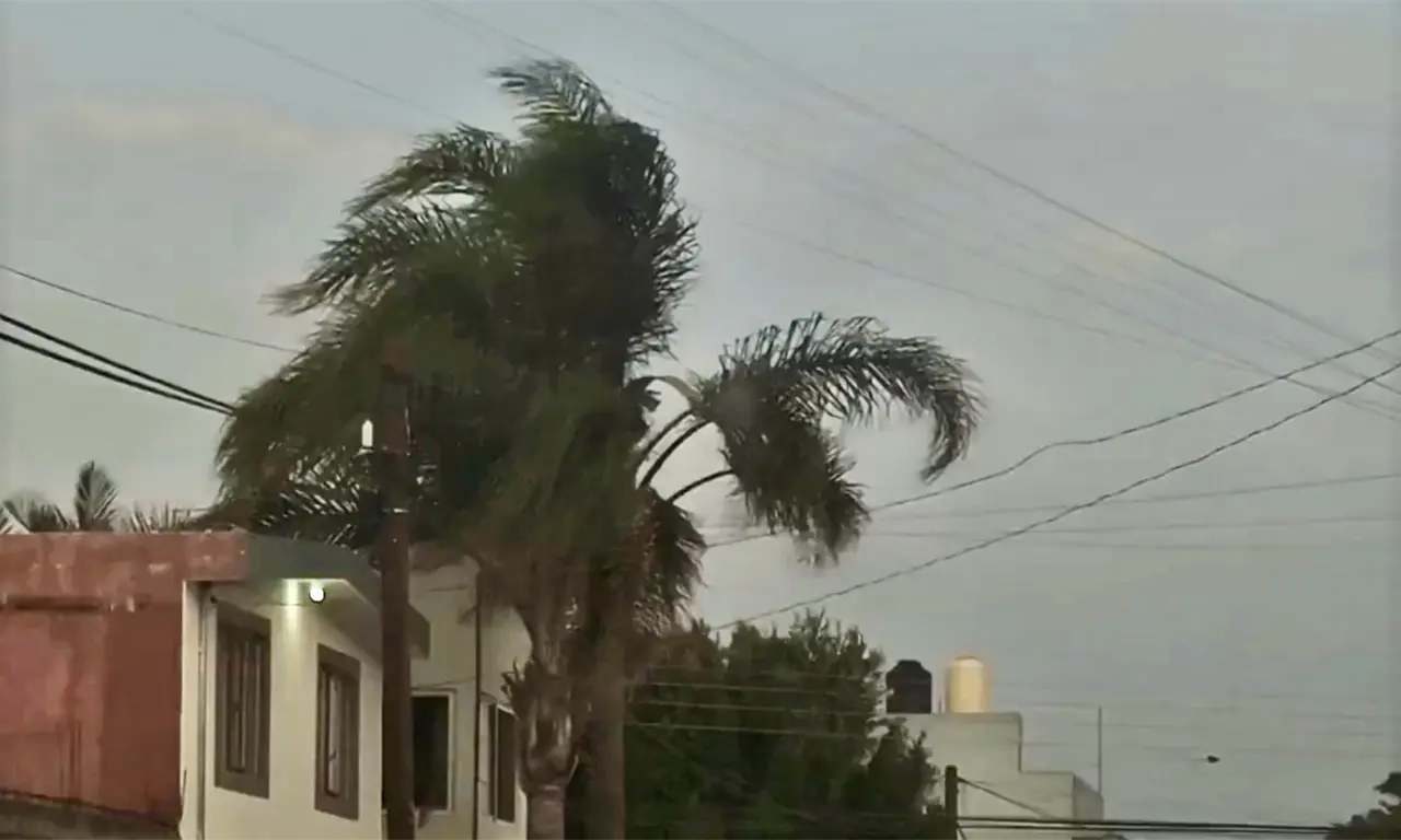  Alertan por fuertes vientos en Puebla: estas son las recomendaciones de Protección Civil para evitar accidentes 