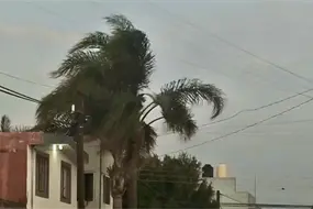 Alertan por fuertes vientos en Puebla: estas son las recomendaciones de Protecci&oacute;n Civil para evitar accidentes