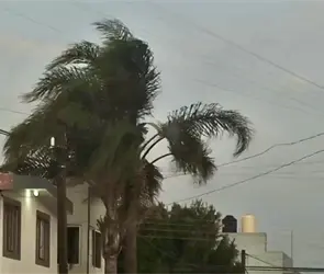 Alertan por fuertes vientos en Puebla: estas son las recomendaciones de Protecci&oacute;n Civil para evitar accidentes