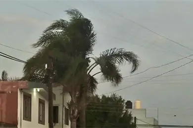 Alertan por fuertes vientos en Puebla: estas son las recomendaciones de Protecci&oacute;n Civil para evitar accidentes