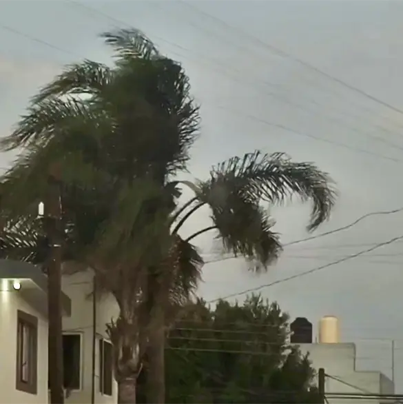 Alertan por fuertes vientos en Puebla: estas son las recomendaciones de Protecci&oacute;n Civil para evitar accidentes