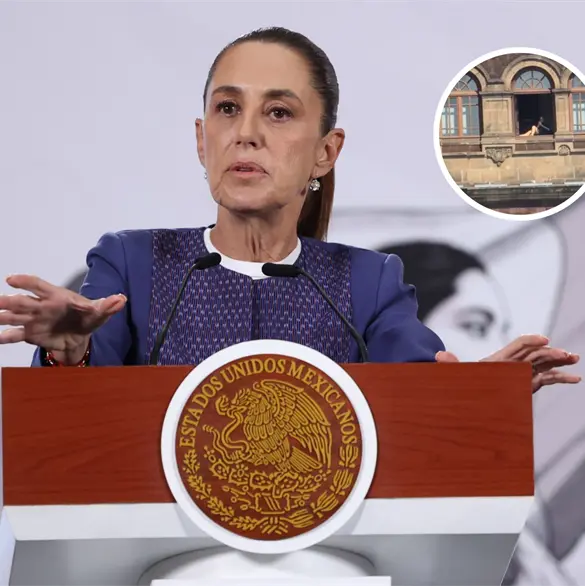 Esto dijo Sheinbaum sobre la mujer asole&aacute;ndose las piernas en Palacio Nacional