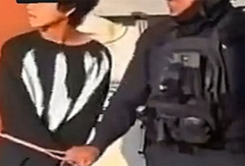 Su posesi&oacute;n, portaci&oacute;n o comercializaci&oacute;n por parte de civiles no est&aacute; permitida.