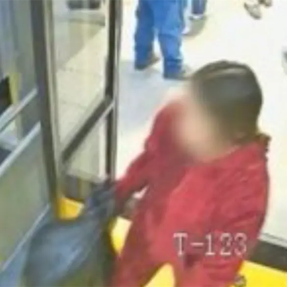 ¿Cuánto pasaría en prisión? Madre del bebé Eithan Daniel podría acceder a una pena reducida ¿Cuánto pasaría en prisión? Madre del bebé Eithan Daniel podría acceder a una pena reducida