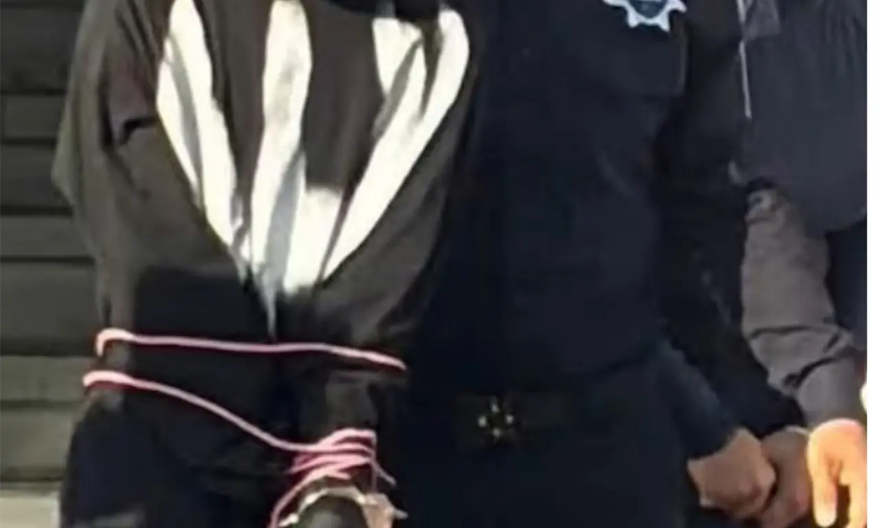  No se trata de un objeto que pueda comprarse como quien adquiere una herramienta doméstica; su posesión está restringida a fuerzas armadas. 