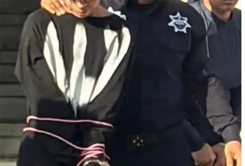 No se trata de un objeto que pueda comprarse como quien adquiere una herramienta dom&eacute;stica; su posesi&oacute;n est&aacute; restringida a fuerzas armadas.