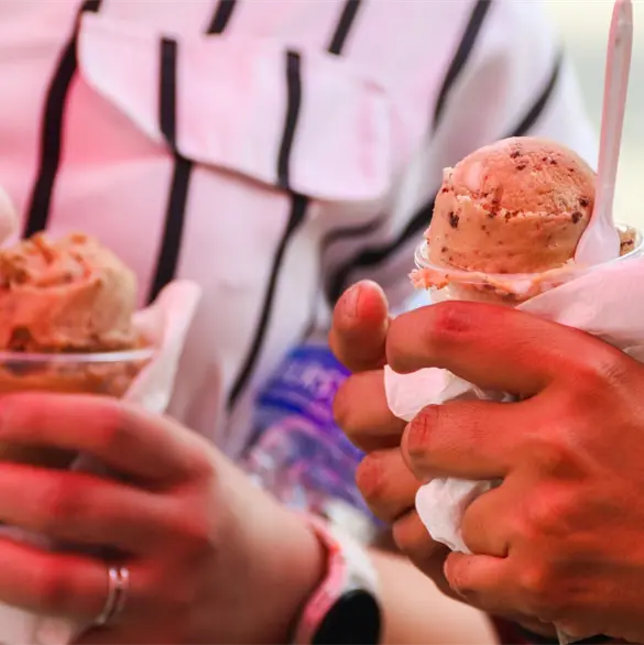 Festival del Helado 2026: Paletas, frapp&eacute;s, paletas y mucho helado artesanal en Coyoac&aacute;n
