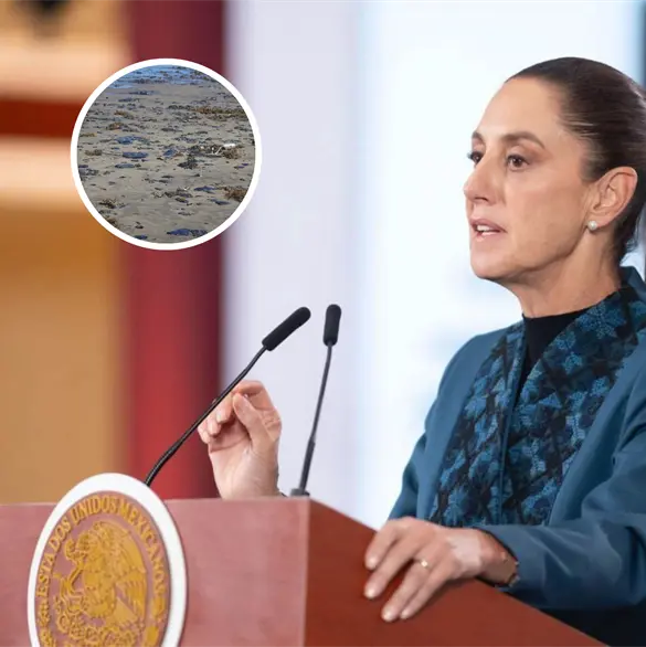 Revelan si hay playas sucias por petr&oacute;leo para las vacaciones de Semana Santa 2026