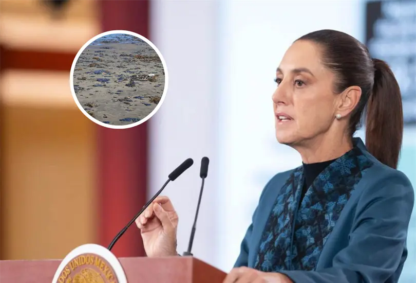 &iquest;Ya est&aacute;n limpias las playas?