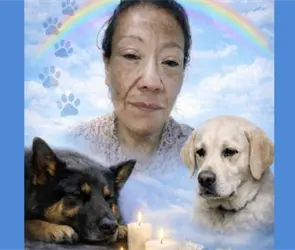 "&iexcl;Ayuda, dicen que me matar&aacute;n!: Hallan muerta en Tultitl&aacute;n a rescatista de perros que hab&iacute;a denunciado amenazas