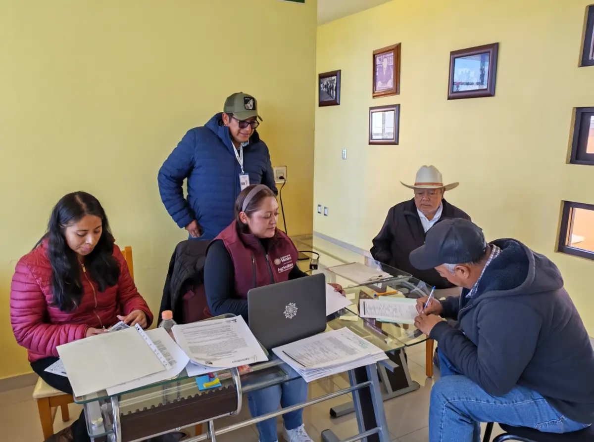  AGRICULTURA agiliza apoyos, impulsa granos básicos y asegura ingresos a productores. 