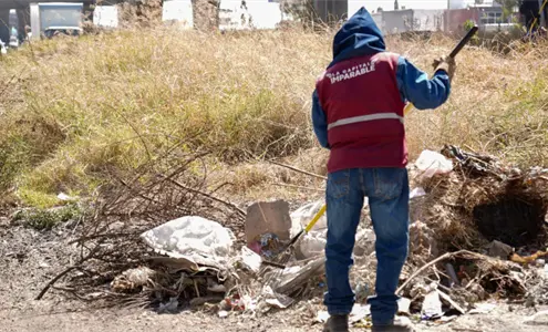 Puebla reporta mantenimiento de m&aacute;s de 465 mil m&sup2; de &aacute;reas verdes en 2026