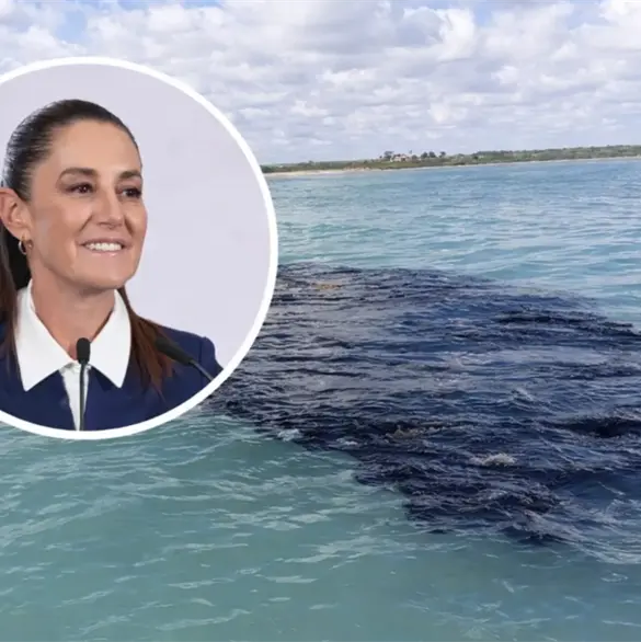 Sheinbaum anuncia apoyo de 15 mil pesos a pescadores por derrame en el Golfo de M&eacute;xico