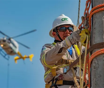 CFE alerta sobre fraudes y extorsiones: &iquest;c&oacute;mo protegerse de los estafadores?