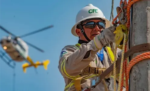 CFE alerta sobre fraudes y extorsiones: &iquest;c&oacute;mo protegerse de los estafadores?