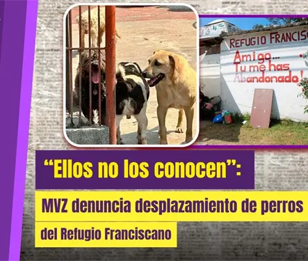 Denuncian riesgos tras retiro de 900 animales del Refugio Franciscano