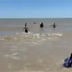 Momento exacto en que marino rescata a turista que era tragado por el mar en Baja California Momento exacto en que marino rescata a turista que era tragado por el mar en Baja California