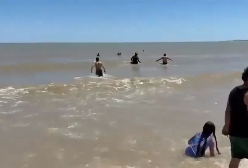 El marino se lanzó al mar para salvar a una persona. El marino se lanzó al mar para salvar a una persona.