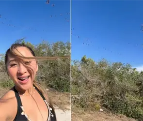 &iquest;Qui&eacute;n es Elisa La Yuca, la influencer funada por espantar a una parvada de flamencos en Yucat&aacute;n?