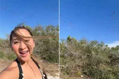 &iquest;Qui&eacute;n es Elisa La Yuca, la influencer funada por espantar a una parvada de flamencos en Yucat&aacute;n?
