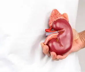 "Me abandonaste 35 a&ntilde;os": mujer se niega a donar ri&ntilde;&oacute;n a su padre y desata debate en redes sociales