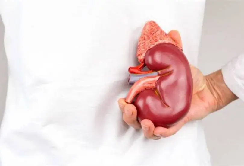 "Me abandonaste 35 a&ntilde;os": mujer se niega a donar ri&ntilde;&oacute;n a su padre y desata debate en redes sociales