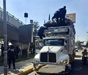 Recolectores de basura mueren tras chocar con puente peatonal en Naucalpan