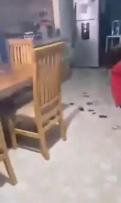 Captura de pantalla.