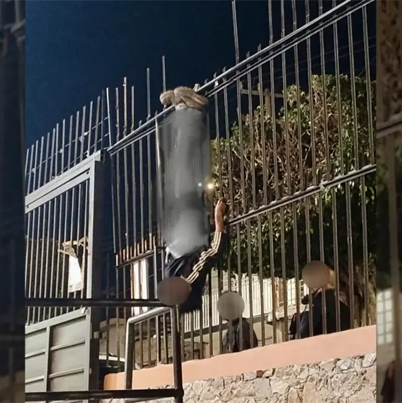 Un hombre quiso meterse a robar a una iglesia y termin&oacute; colgado de cabeza