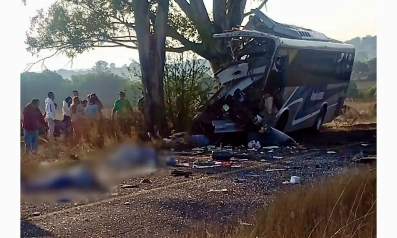  Autobús se estrella contra un árbol: deja 9 muertos y 14 heridos en Querétaro 