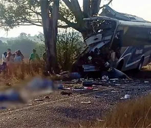 Autob&uacute;s se estrella contra un &aacute;rbol: deja 9 muertos y 14 heridos en Quer&eacute;taro