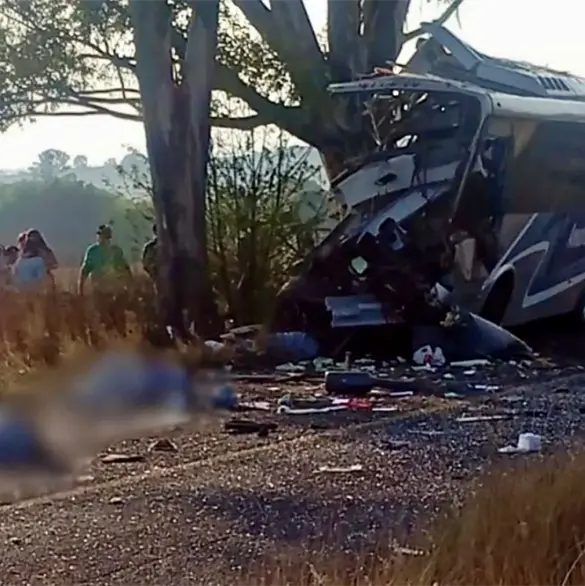 Autob&uacute;s se estrella contra un &aacute;rbol: deja 9 muertos y 14 heridos en Quer&eacute;taro