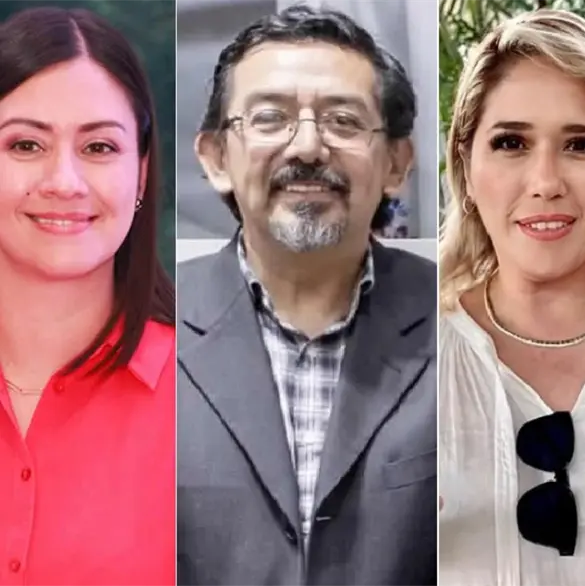Nuevos consejeros del INE: &iquest;Qui&eacute;nes son Blanca Cruz, Arturo Ch&aacute;vez y Frida G&oacute;mez?