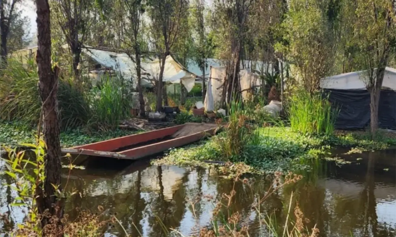  Relató que, al acudir a visitar a sus familiares, notó que su yerno realizaba movimientos sospechosos en el terreno.
 