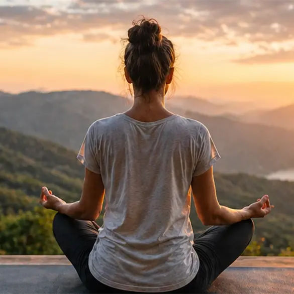 Ingenier&iacute;a del Bienestar: Gu&iacute;as Pr&aacute;cticas para Mejorar la Calidad de Vida