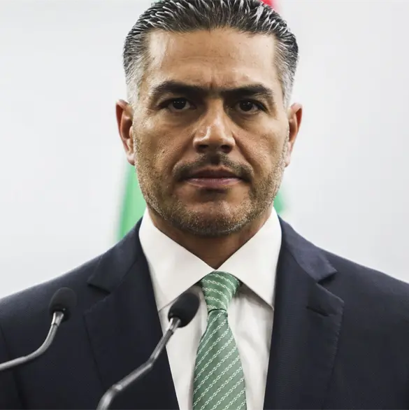 Harfuch: captura de "El Jardinero" respet&oacute; soberan&iacute;a; EE.UU. solo aport&oacute; informaci&oacute;n