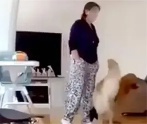 &iquest;Cu&aacute;ntos a&ntilde;os de prisi&oacute;n enfrentar&iacute;a Erika Mar&iacute;a por el feminicidio de Carolina Flores?