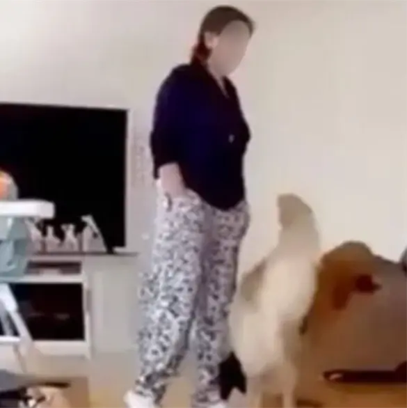 &iquest;Cu&aacute;ntos a&ntilde;os de prisi&oacute;n enfrentar&iacute;a Erika Mar&iacute;a por el feminicidio de Carolina Flores?