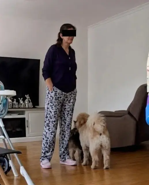 Captura de pantalla.