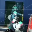 As&iacute; fue el desembarque de pasajeros del crucero MV Hondius afectado por el brote mortal de hantavirus