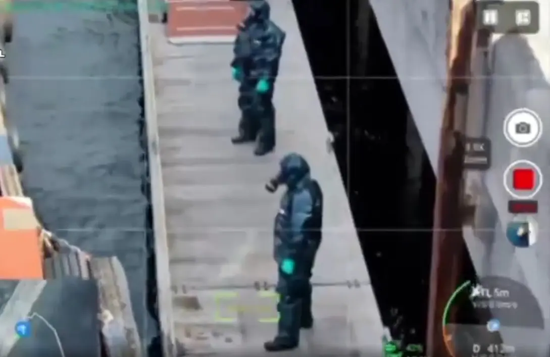 Entre los turistas evacuados había ciudadanos de Reino Unido, Estados Unidos, España, Países Bajos, Alemania, Francia, Canadá, Australia, Turquía, Irlanda, Grecia, Japón, Nueva Zelanda y Argentina. Captura de pantalla.