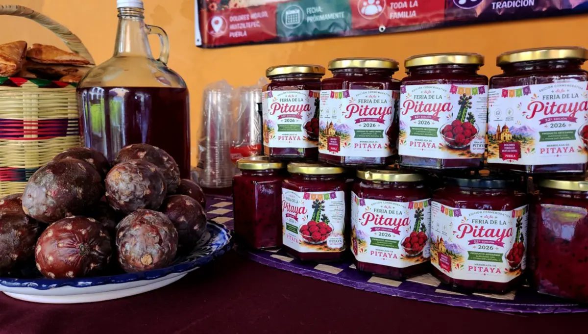  Más de 6 mil visitantes asistirán a la Feria de la Pitaya 2026 en Huitziltepec, Puebla, uno de los principales productores de esta fruta en México. 