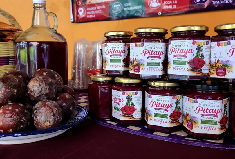 Más de 6 mil visitantes asistirán a la Feria de la Pitaya 2026 en Huitziltepec, Puebla, uno de los principales productores de esta fruta en México. Más de 6 mil visitantes asistirán a la Feria de la Pitaya 2026 en Huitziltepec, Puebla, uno de los principales productores de esta fruta en México.